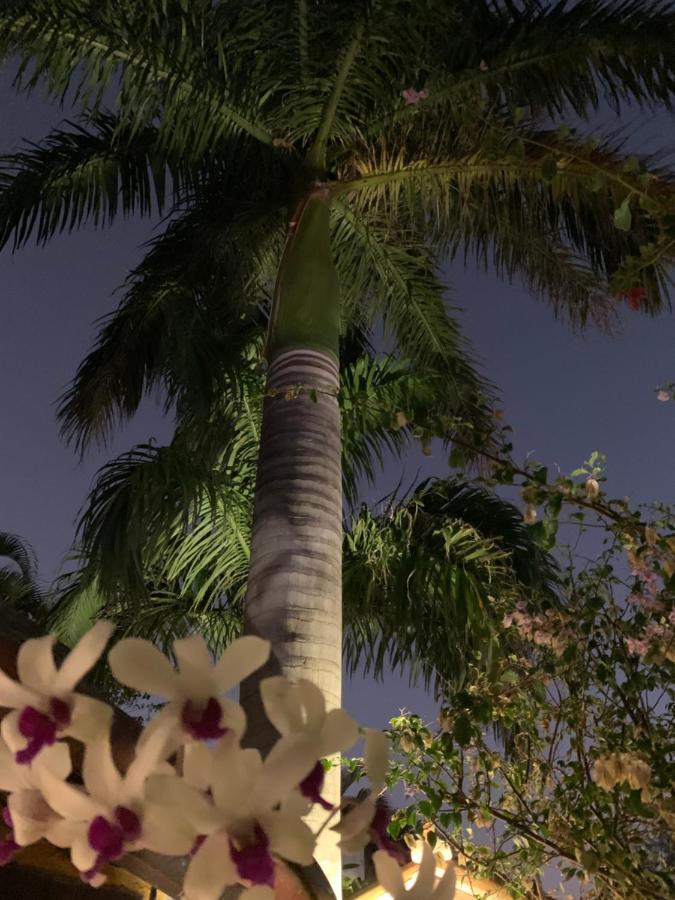Villa Lulu Maison Búzios Kültér fotó